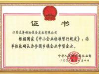 全国多镇企业中型企业认定证书