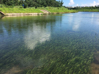 河湖流域治理