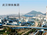武汉钢铁集团