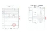检测报告-17-