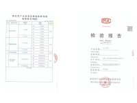 检测报告-16-