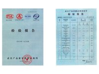 检测报告-10-