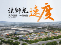 关于法狮龙