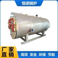 燃油气热水锅炉1