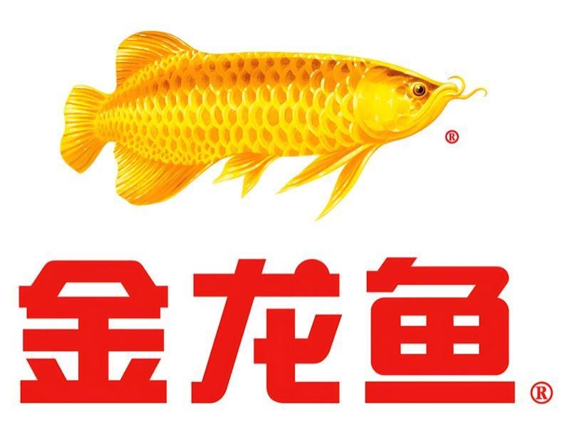 金龙鱼