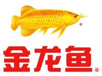 金龙鱼
