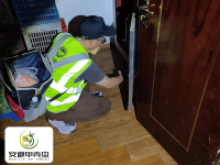 酒店蟑螂控制案例1