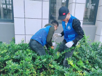 工厂鼠害控制