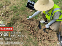 白蚁防制案例1