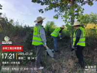 白蚁防制案例2