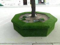 休闲草坪1