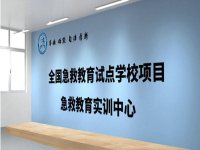 优质项目九
