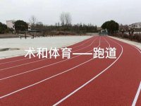 塑胶跑道3