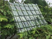 1050透明瓦