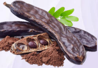 D-chiro-Inositol