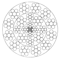 图片221