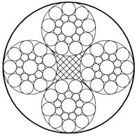 图片244