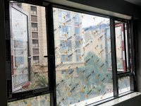 案例展示-18-
