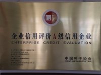 荣誉资质-6-