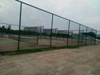 护栏网-1-