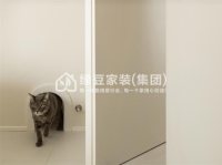 案例展示-81-