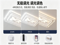 轻奢客厅大灯水晶吸顶灯中山灯具套餐组合-主图-4