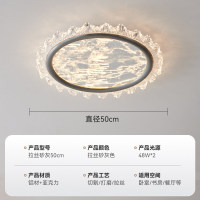 SKU13_颜色分类-拉丝灰50CM-48W_2三色变光