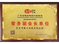 广东省电线电缆行业协会常务副会长单位