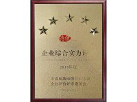 企业综合实力五星评价