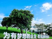中以国际科技合作产业园