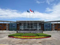 西安航空电子科技有限公司