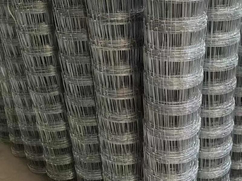 牛栏网草原网-4-