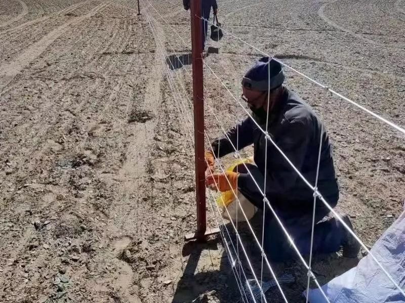 牛栏网草原网-3-