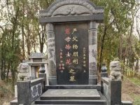 芝麻黑-8-