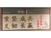 公司环境-12-