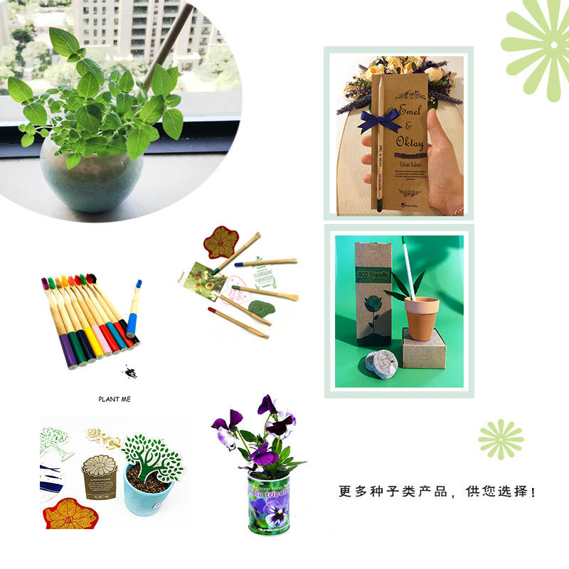 微信图片_20250815201814_1092
