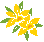 descript