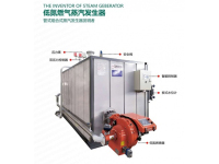 低氮燃气蒸汽发生器2