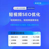 短视频代运营-5