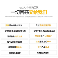 阿里巴巴运营-6