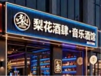 案例展示-31-