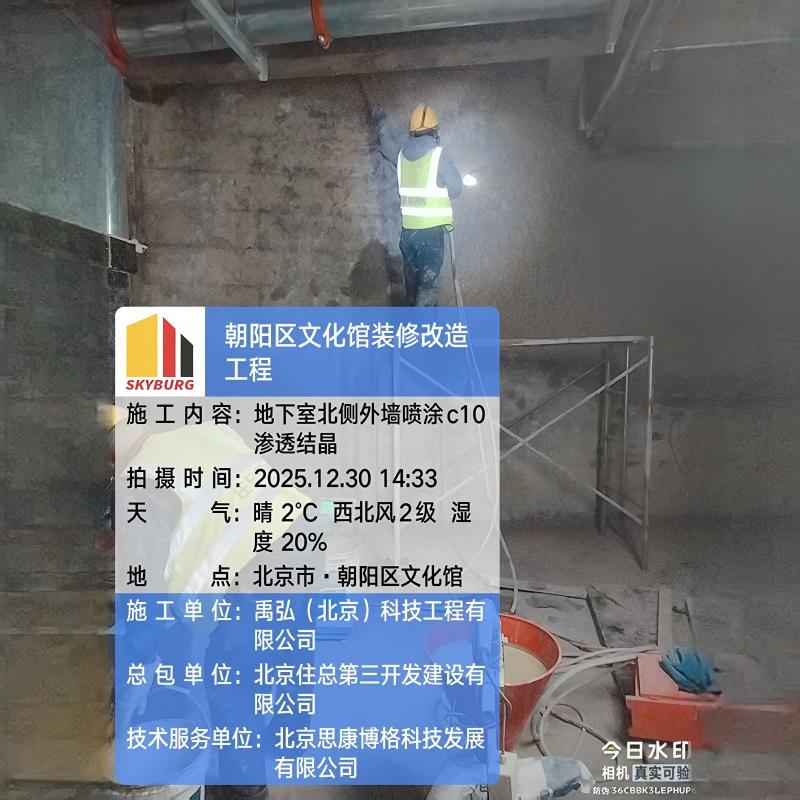 案例展示-9