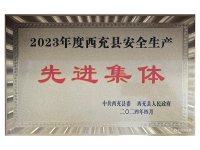 荣获先进集体