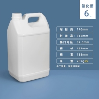 6L