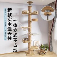 专利通天柱-1-