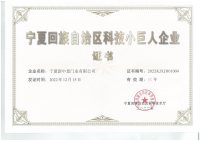 宁夏回族自治区科技小巨人企业