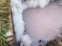 锅炉用水水质