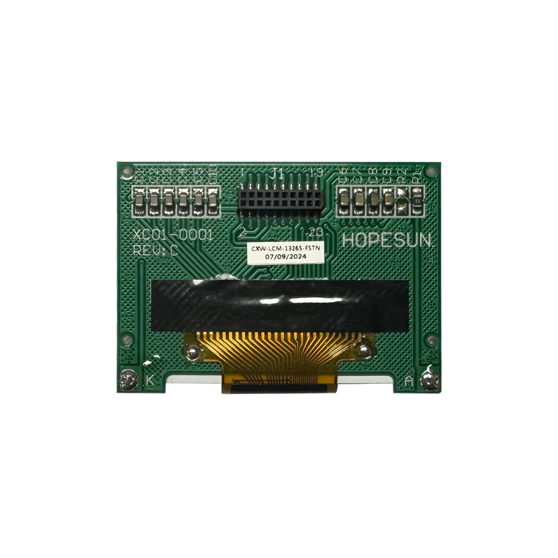 CXWRTL02403NPB024