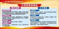 公司优势