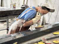 厂房展示-14-